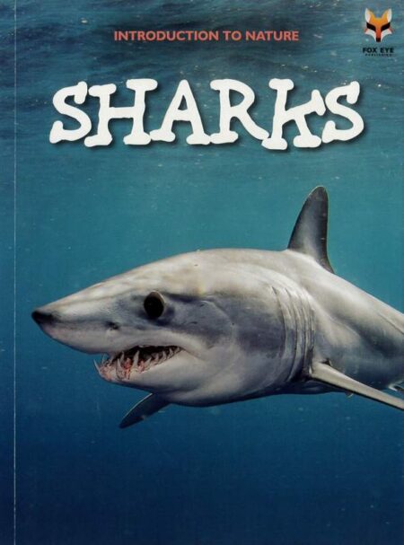 Introduction To Nature: Sharks