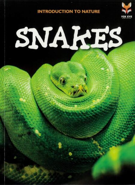Introduction To Nature: Snakes