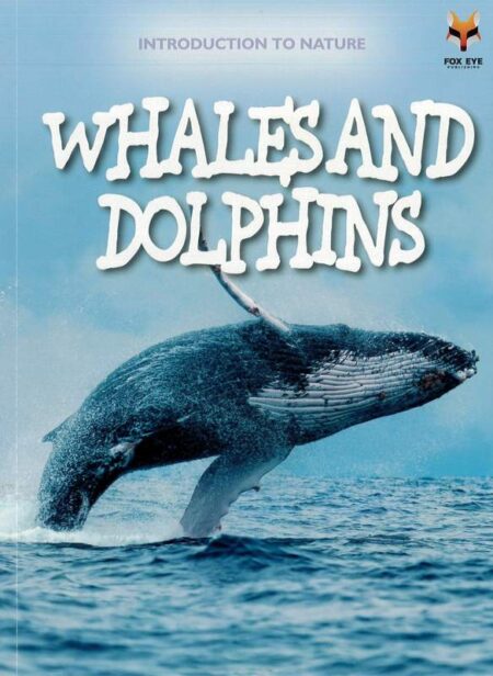 Introduction To Nature: Whales & Dolphins