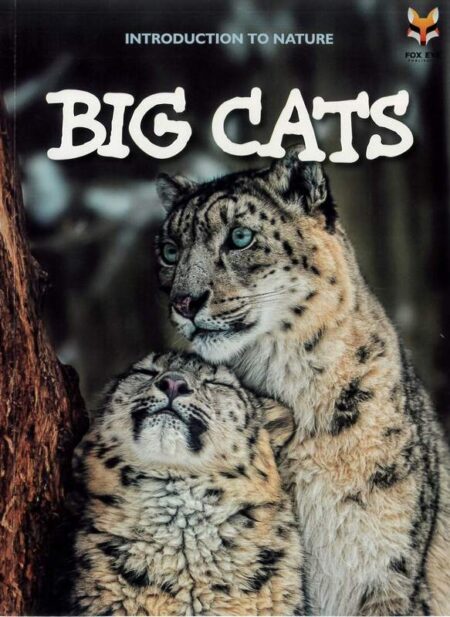 Introduction To Nature: Big Cats