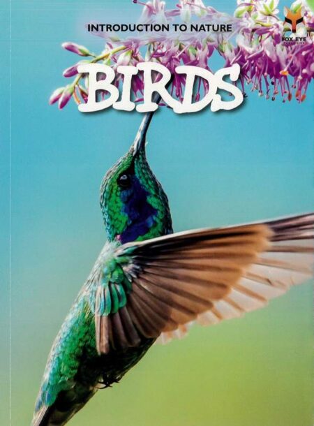 Introduction To Nature: Birds