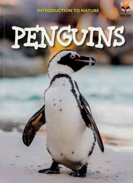 Introduction To Nature: Penguins