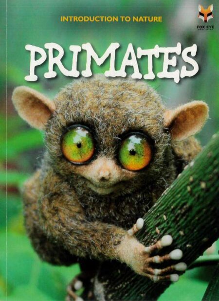 Introduction To Nature: Primates