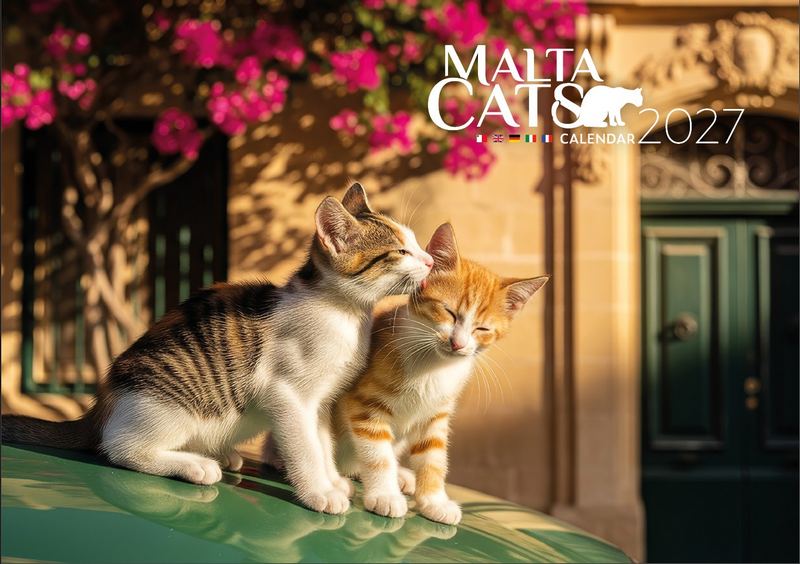 Beautiful Cat Calendar 2027 A4