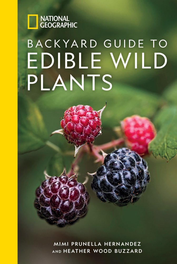 Backyard Guide to Edible Wild Plants