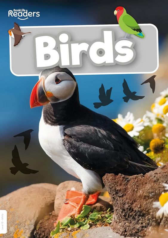 Birds (BookLife Non-Fiction Readers)