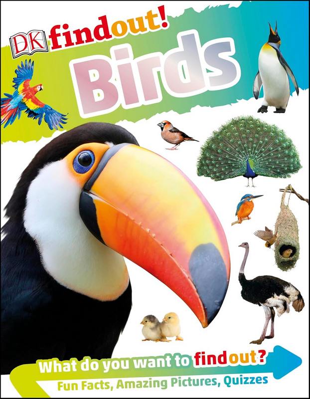 Birds