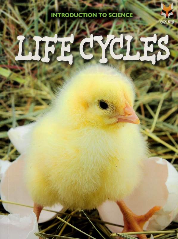 Introduction To Science: Life Cycles
